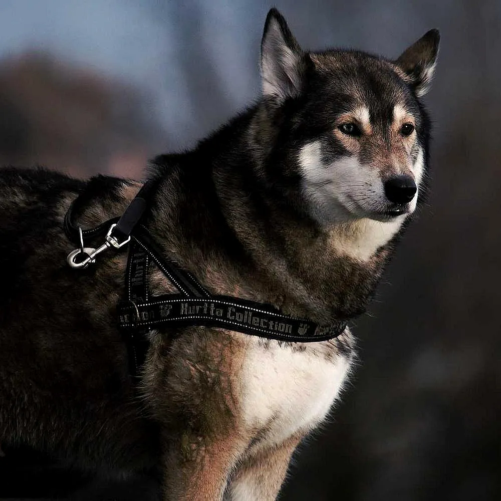 Akıllı Bileklik Fitness Tracker